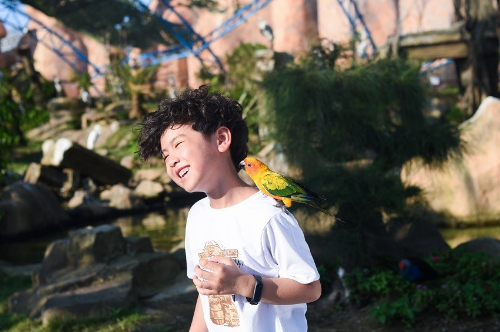 ...và chiêm ngưỡng động vật quý hiếm với muôn chim hát ca tại Vườn Quý Vương.  ...và chiêm ngưỡng động vật quý hiếm với muôn chim hát ca tại Vườn Quý Vương.