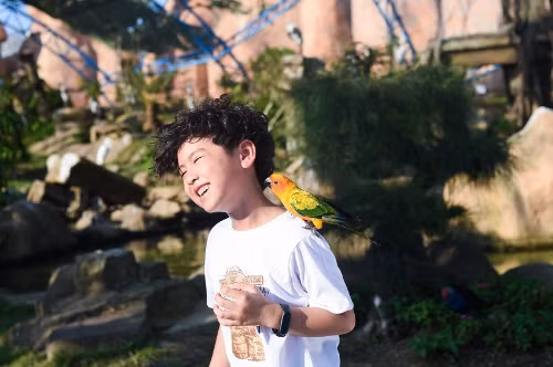  ...và chiêm ngưỡng động vật quý hiếm với muôn chim hát ca tại Vườn Quý Vương.