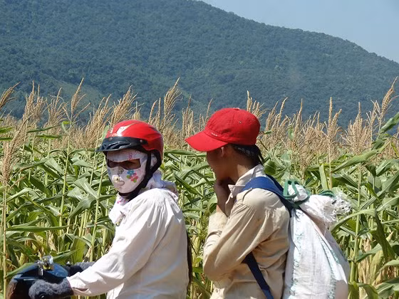 Một thợ săn được người mua đồ rừng đón ngay cửa rừng sau khi về