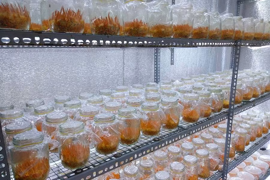 Ảnh: Lữ Hồng Ảnh: Lữ Hồng