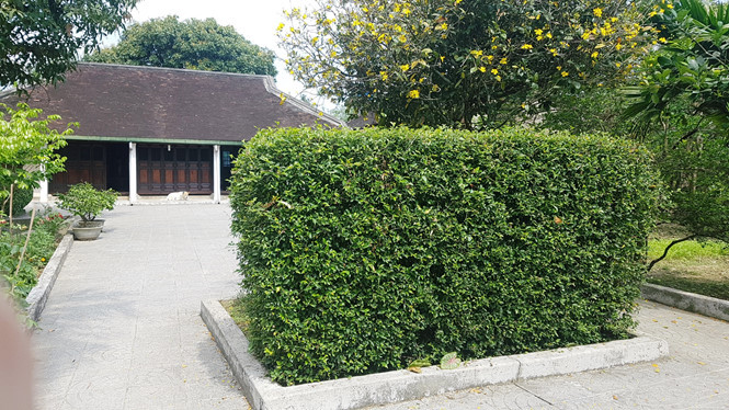 Hàng chè tàu được biến thành tấm bình phong cho những ngôi nhà cổ Hàng chè tàu được biến thành tấm bình phong cho những ngôi nhà cổ