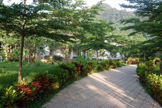 Giai điệu nắng ban mai trong không gian xanh của Chày Lập Farmstay Giai điệu nắng ban mai trong không gian xanh của Chày Lập Farmstay