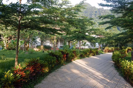 Giai điệu nắng ban mai trong không gian xanh của Chày Lập Farmstay