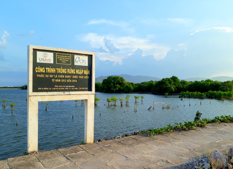 Công trình trồng rừng ngập mặn trên đầm Thị Nại. Ảnh: Tuấn Vũ Công trình trồng rừng ngập mặn trên đầm Thị Nại. Ảnh: Tuấn Vũ