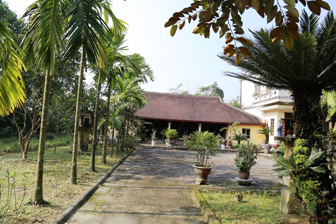 Hàng cau là không thể thiếu trong kiến trúc vườn nhà cổ Hội Kỳ Hàng cau là không thể thiếu trong kiến trúc vườn nhà cổ Hội Kỳ