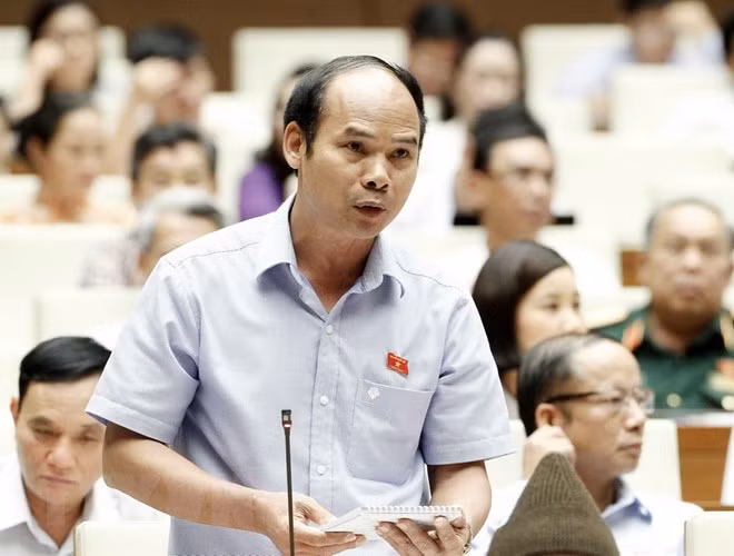 Đại biểu Quốc hội tỉnh Thái Nguyên Đỗ Đại Phong chất vấn Phó Thủ tướng Vương Đình Huệ.