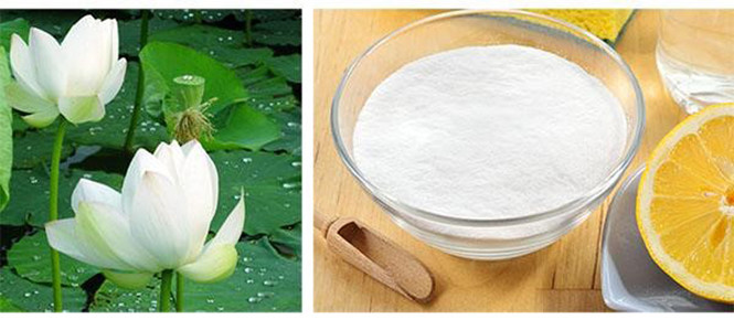 Tắm dưỡng trắng da bằng hoa sen trắng, bột mì và chanh tươi