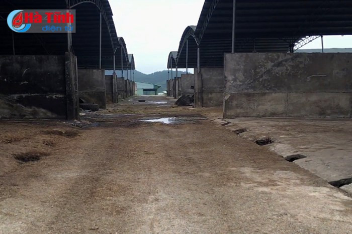 Dự án nuôi bò của Bình Hà vắng tanh nhiều tháng nay. Dự án nuôi bò của Bình Hà vắng tanh nhiều tháng nay.