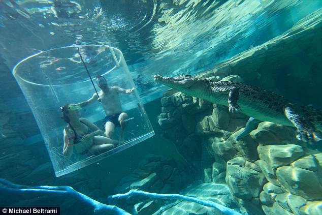 Tại đây chàng trai người Australia đã cầu hôn bạn gái