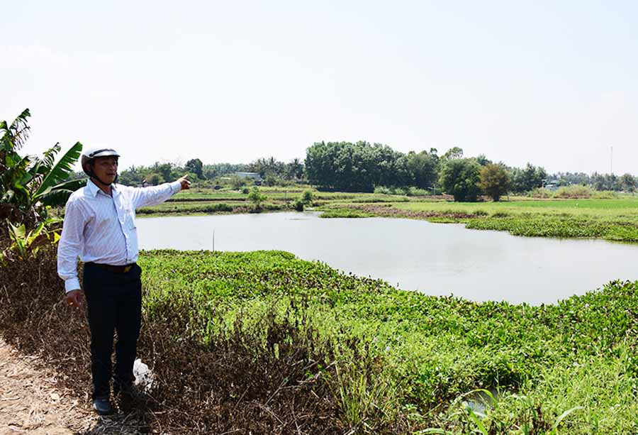 Anh Nguyễn Thành Vinh, cán bộ Hội Nông dân phường An Bình (thị xã An Khê) kiểm tra bàu Cây Sung. Ảnh: T.S Anh Nguyễn Thành Vinh, cán bộ Hội Nông dân phường An Bình (thị xã An Khê) kiểm tra bàu Cây Sung. Ảnh: T.S
