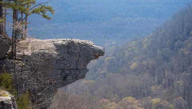 Mỏm đá Hawksbill nơi xảy ra vụ tai nạn