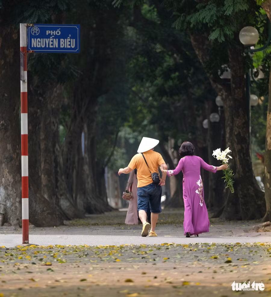 Phố Phan Đình Phùng cũng là địa điểm lý tưởng để chụp với hoa loa kèn mùa này