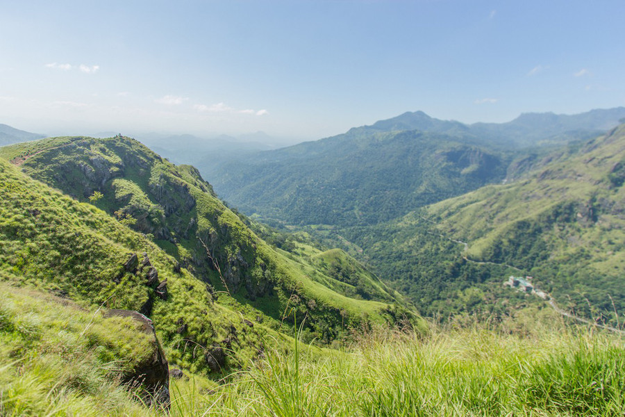  Cỏ xanh mướt mát mọc trên đá, khoe sắc dưới ánh nắng mặt trời càng làm cho Little Adam rực rỡ