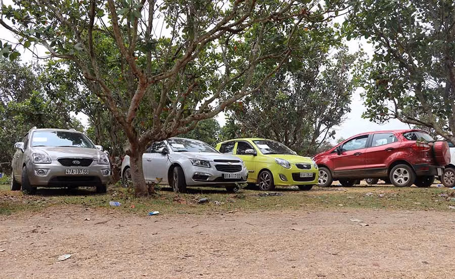  Nhiều đối tượng đã thuê xe chở đến khu vực rẫy điều để tham gia đánh bạc. Ảnh: Văn Ngọc