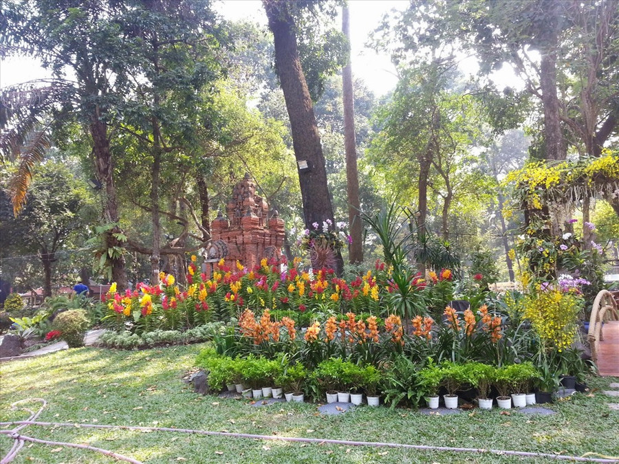 Ngắm lan trong Công viên Tao Đàn. Ngắm lan trong Công viên Tao Đàn.