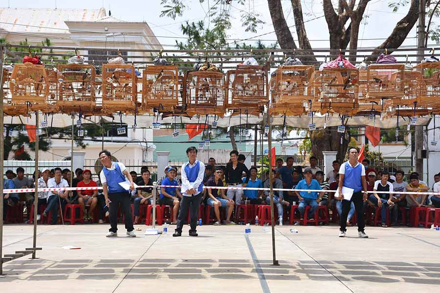 Quang cảnh hội thi. Ảnh: Hà Phương