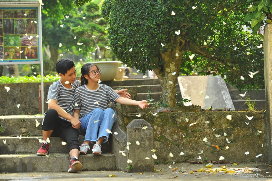 Mùa bướm rừng Cúc Phương như một điểm đến mới của những người yêu du lịch, nơi đây thu hút đông du khách trong và ngoài nước.