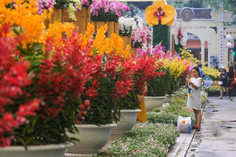  Ở ngay cổng chính, cạnh đền Hùng là tiểu cảnh đường hoa lan với hàng chục chậu hoa cao gần 2 m xếp thành hàng dọc.