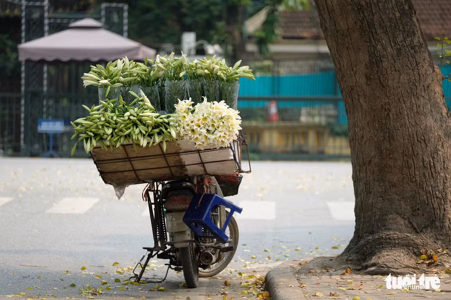Những chiếc xe đạp cũ chở thúng loa kèn mướt xanh cùng màu trắng tinh khiết của hoa bên ven đường khiến ai cũng chẳng thể cầm lòng