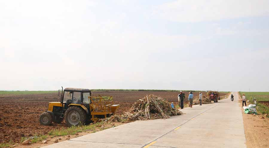  Đưa cơ giới hóa vào sản xuất để giảm chi phí, nâng cao năng suất trên một diện tích. Ảnh: N.Q