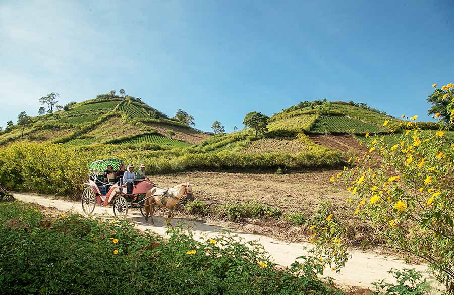  Vẻ đẹp núi lửa Chư Đăng Ya. Ảnh: internet