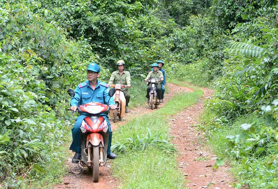 Do gặp khó khăn về tài chính nên các công ty lâm nghiệp không mở rộng diện tích giao khoán quản lý và bảo vệ rừng cho người dân. Ảnh: M.T  Do gặp khó khăn về tài chính nên các công ty lâm nghiệp không mở rộng diện tích giao khoán quản lý và bảo vệ rừng cho người dân. Ảnh: M.T