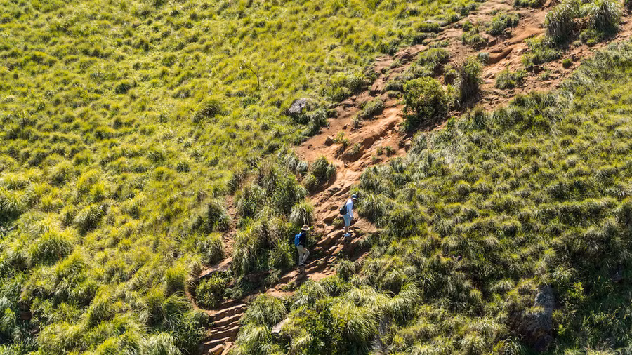  Đường lên Little Adam rất dễ dàng, bạn chỉ việc đi bộ theo những bảng biển chỉ dẫn sẵn có