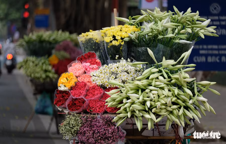  Giữa con phố nhộn nhịp người qua lại, chúng ta dễ dàng bắt gặp những gánh hoa, xe hoa loa kèn đẹp đến nao lòng