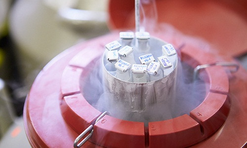 Dịch vụ trữ đông tinh trùng đang trở nên phổ biến tại Mỹ, ngay cả đối với những nam giới trẻ tuổi. Ảnh: Alliance for Fertility Preservation.