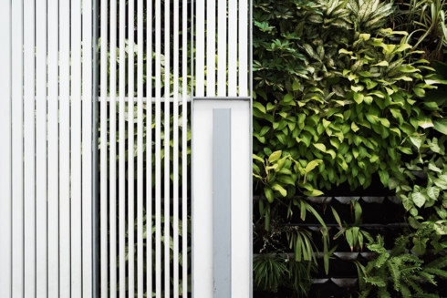  Tầng một của những ngôi nhà này được sử dụng cho kinh doanh hoặc văn phòng, tầng trên được sử dụng để ở.