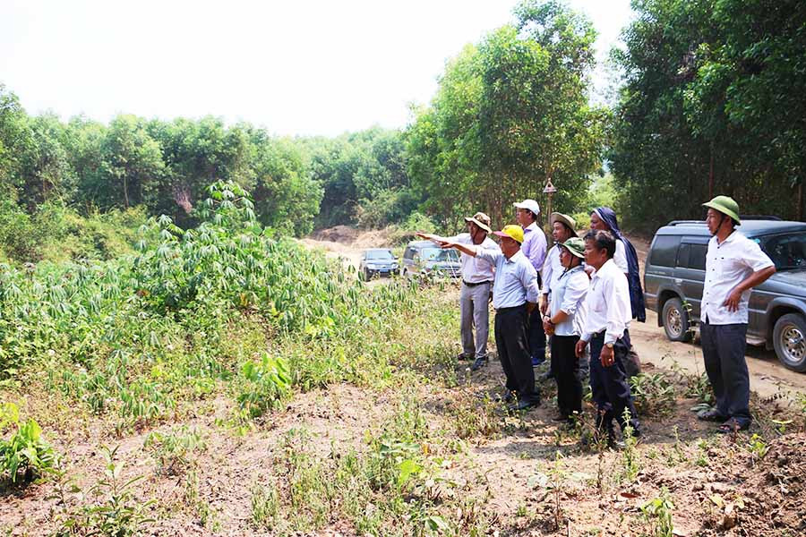 5Đoàn giám sát của HĐND tỉnh đi giám sát thực tế công tác thu hồi đất rừng và triển khai trồng rừng tại huyện Kông Chro Ảnh: Q.T