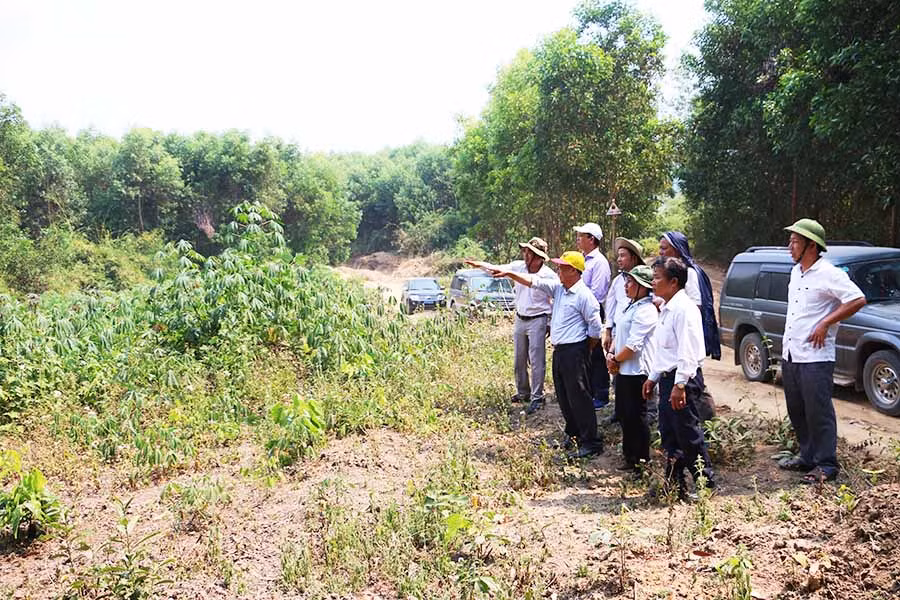5Đoàn giám sát của HĐND tỉnh đi giám sát thực tế công tác thu hồi đất rừng và triển khai trồng rừng tại huyện Kông Chro Ảnh: Q.T