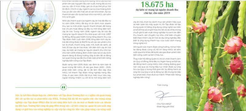 Tâm sự của Bầu Đức với cổ đông.