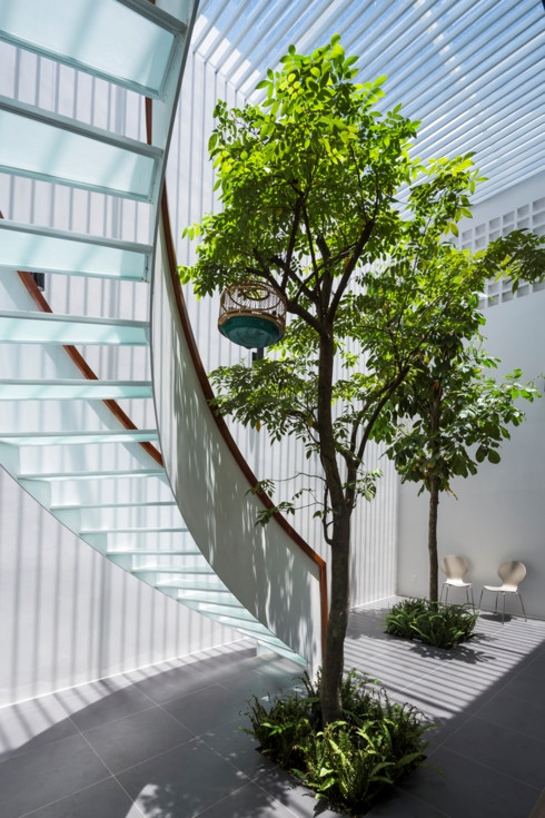  Nhờ có ánh sáng mà cây xanh có thể phát triển ở khoảng giữa nhà.