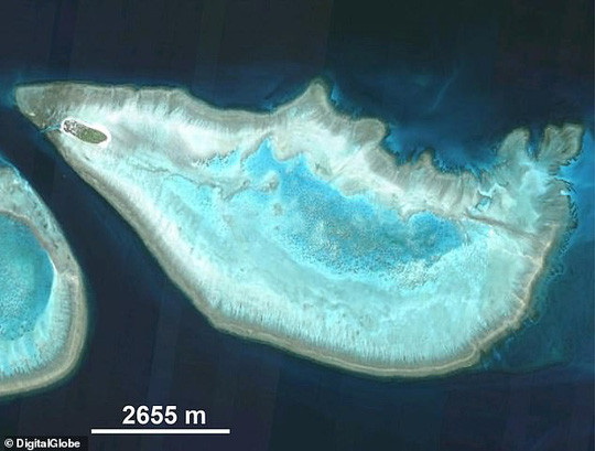  Một bức ảnh cận cảnh 