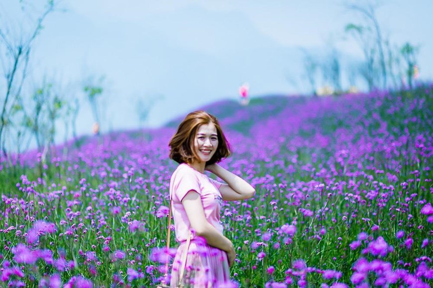 Đặc biệt hơn, nếu lên Fansipan vào đúng dịp này, bạn sẽ bị hút hồn bởi một triền hoa tím ngát dịu dàng khu vực ga đi cáp treo Fansipan.