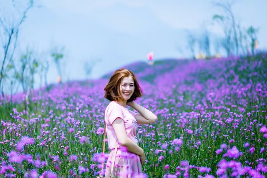 Đặc biệt hơn, nếu lên Fansipan vào đúng dịp này, bạn sẽ bị hút hồn bởi một triền hoa tím ngát dịu dàng khu vực ga đi cáp treo Fansipan.