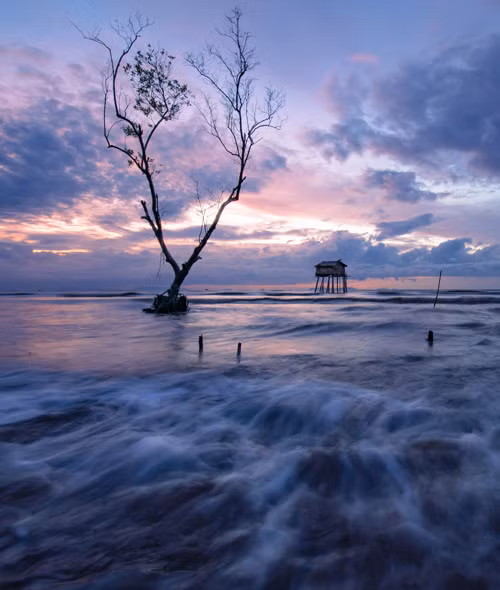  Anh Nhân tự nhận mình là người thích phiêu lưu đây đó, chụp ảnh phong cảnh và khám phá thiên nhiên. Ảnh chụp cây cô đơn nổi tiếng trong giới nhiếp ảnh ở khu vực bãi biển Tân Thành, Gò Công, Tiền Giang.