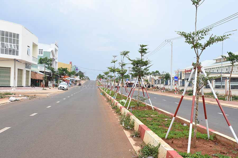  Một đoạn đường Cách Mạng Tháng Tám thuộc thôn 5, xã Trà Đa hôm nay. Ảnh: L.V.N