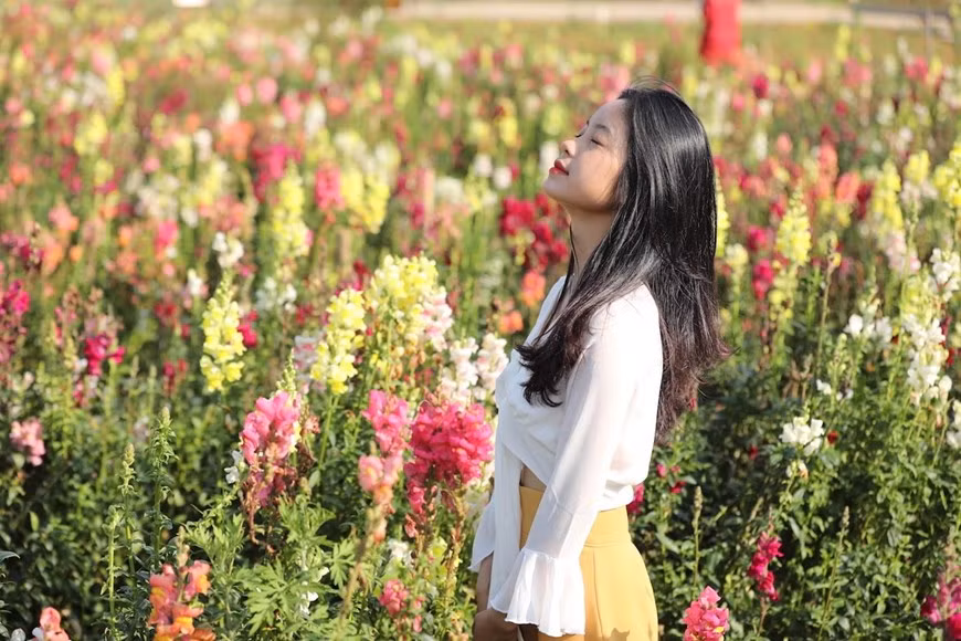 Kế bên đồi hoa tím biếc, vườn hoa mõm sói đủ sắc màu bừng lên trong nắng dẫn lối du khách đến chợ vùng cao, nơi những sản vật Tây Bắc được chính đồng bào mang tới “thết đãi” khách phương xa.