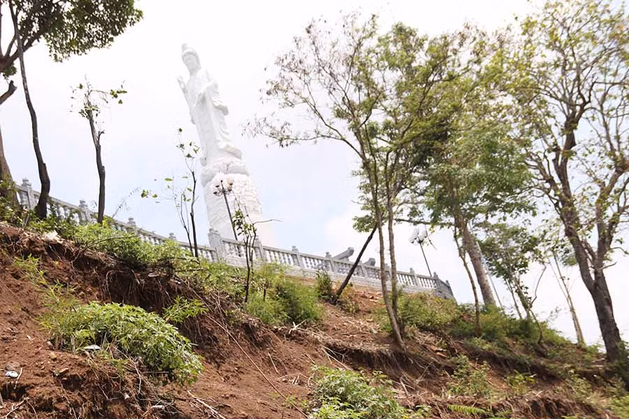 Đất được bồi đắp xung quanh tượng phật Quan Thế Âm Bồ Tát sạt lở, nhiều cây xanh có bộ rễ lộ thiên nhưng không có biển cảnh báo an toàn. Ảnh: G.N