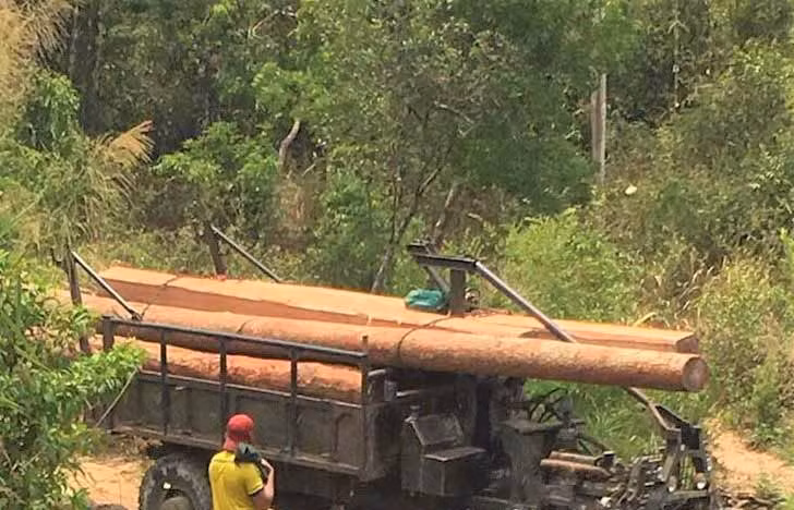 Phương tiện và số gỗ trái phép tại hiện trường. Ảnh: Cao Phong