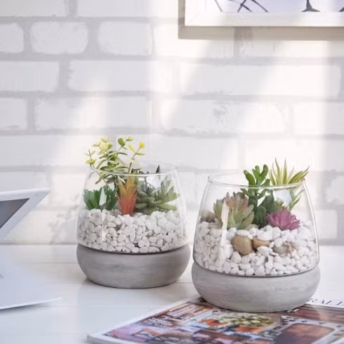 Bình thủy tinh có đế bằng bê tông, hoàn hảo để trồng xương rồng hay các loại cây cảnh.