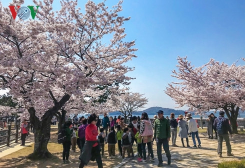  Ngoài ra còn có các điểm đến hấp dẫn khác như Công viên điêu khắc Jangboksan, vườn sinh thái môi trường Jinhae là nơi lý tưởng để ngắm hoa soi bóng xuống mặt hồ, đỉnh Anmingogae để ngắm toàn cảnh thành phố từ trên cao. 