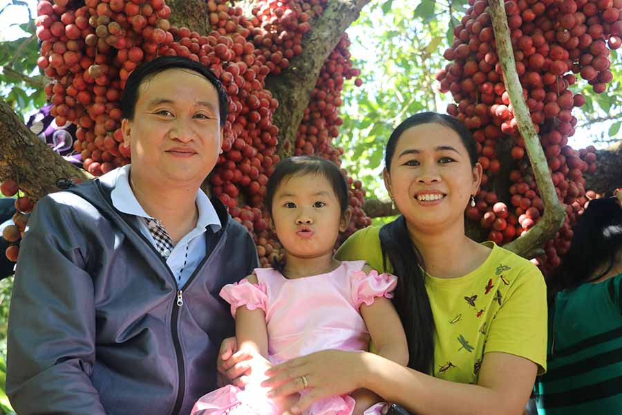 Nhiều du khách đến cây dâu đỏ ở xã Tú An tham quan và chụp ảnh lưu niệm. Ảnh: Phạm Ngọc