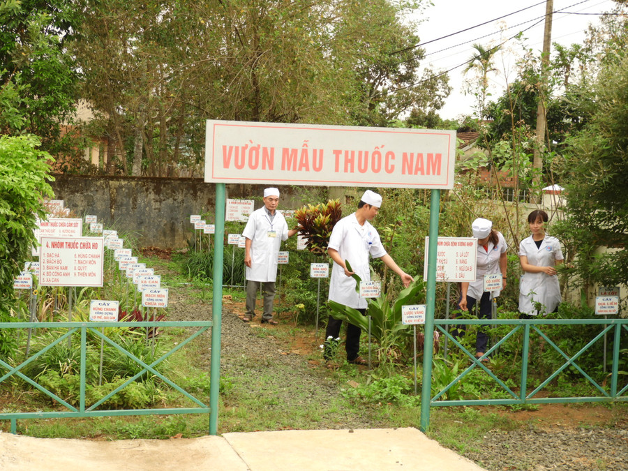 Vườn mẫu thuốc Nam tại Trạm Y tế xã Ia Yok. Ảnh: L.T