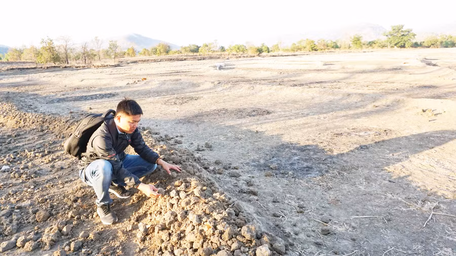 Nhiều diện tích đất đai trên địa bàn xã Ayun đang phải bỏ hoang do không có nước tưới. Ảnh: Chí Hào