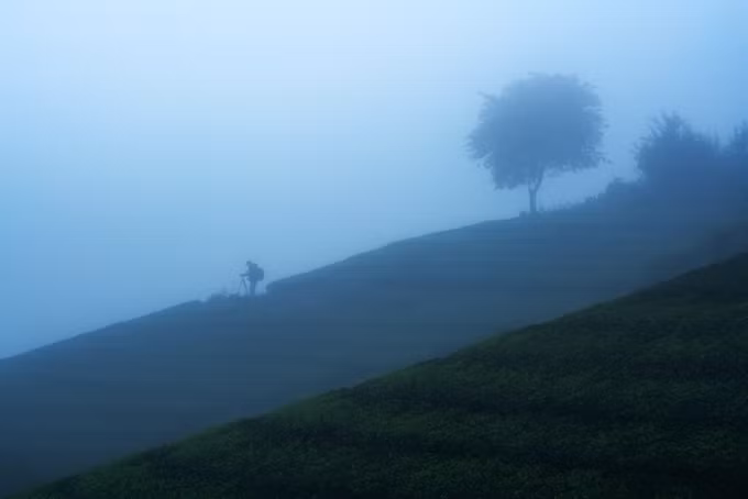  Một nhiếp ảnh gia tác nghiệp trong làn sương mờ tại khu vực đồi chè Long Cốc, Phú Thọ.