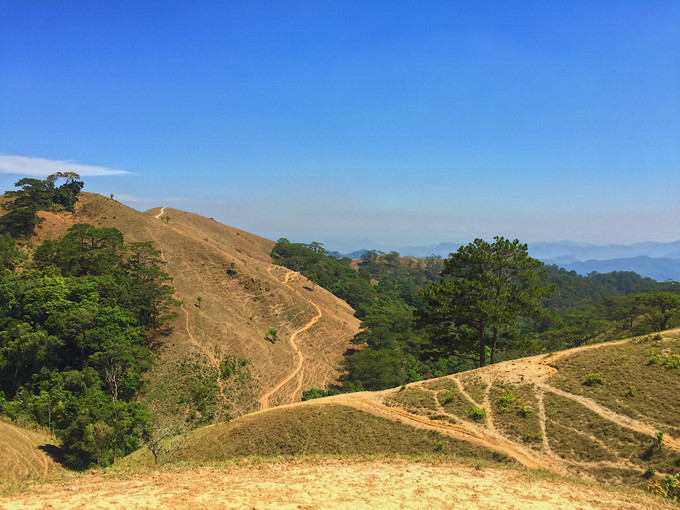 Tà Năng – Phan Dũng là cung đường dài hơn 50 km thuộc địa phận ba tỉnh Lâm Đồng, Ninh Thuận và Bình Thuận. Thảm thực vật đa dạng, khung cảnh hùng vĩ, độ khó vừa phải nên cung đường này phù hợp trekking với nhiều lứa tuổi. Phía Tà Năng là cung đường đẹp, cây cỏ mọc hai bên đường, dốc không quá cao. Còn phía Phan Dũng (hướng xuống thác Yavly) đường khá trơn, ngoằn ngoè-- Tà Năng – Phan Dũng là cung đường dài hơn 50 km thuộc địa phận ba tỉnh Lâm Đồng, Ninh Thuận và Bình Thuận. Thảm thực vật đa dạng, khung cảnh hùng vĩ, độ khó vừa phải nên cung đường này phù hợp trekking với nhiều lứa tuổi. Phía Tà Năng là cung đường đẹp, cây cỏ mọc hai bên đường, dốc không quá cao. Còn phía Phan Dũng (hướng xuống thác Yavly) đường khá trơn, ngoằn ngoè--