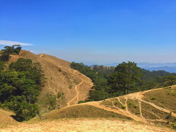 Tà Năng – Phan Dũng là cung đường dài hơn 50 km thuộc địa phận ba tỉnh Lâm Đồng, Ninh Thuận và Bình Thuận. Thảm thực vật đa dạng, khung cảnh hùng vĩ, độ khó vừa phải nên cung đường này phù hợp trekking với nhiều lứa tuổi. Phía Tà Năng là cung đường đẹp, cây cỏ mọc hai bên đường, dốc không quá cao. Còn phía Phan Dũng (hướng xuống thác Yavly) đường khá trơn, ngoằn ngoè--
